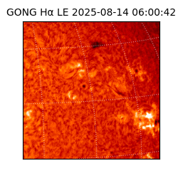 gong - 2025-08-14T06:00:42