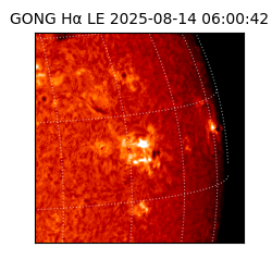 gong - 2025-08-14T06:00:42