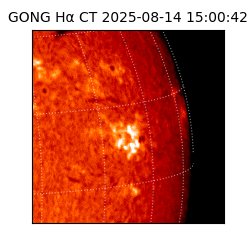 gong - 2025-08-14T15:00:42
