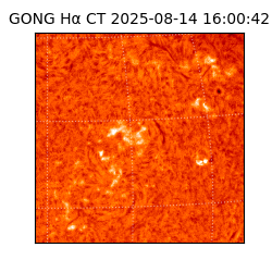 gong - 2025-08-14T16:00:42