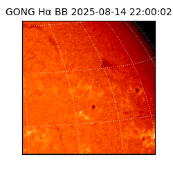 gong - 2025-08-14T22:00:02