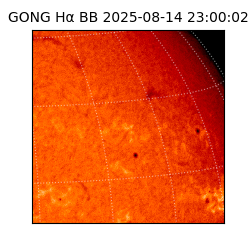 gong - 2025-08-14T23:00:02