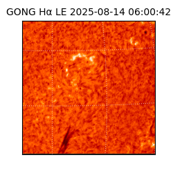 gong - 2025-08-14T06:00:42