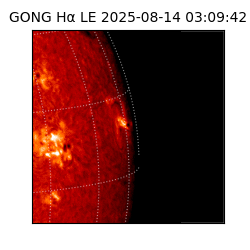 gong - 2025-08-14T03:09:42