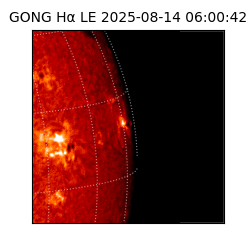 gong - 2025-08-14T06:00:42