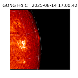 gong - 2025-08-14T17:00:42