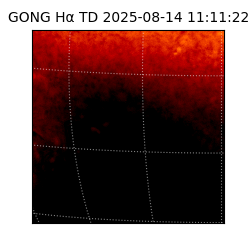 gong - 2025-08-14T11:11:22