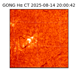 gong - 2025-08-14T20:00:42