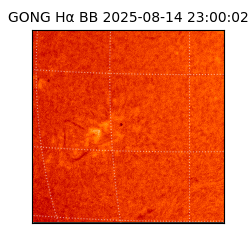 gong - 2025-08-14T23:00:02
