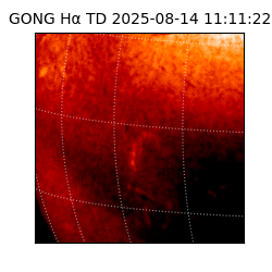 gong - 2025-08-14T11:11:22