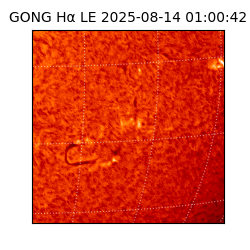 gong - 2025-08-14T01:00:42