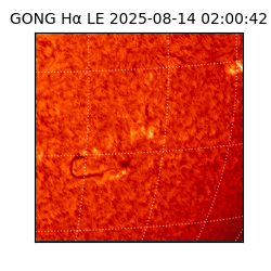 gong - 2025-08-14T02:00:42