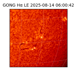 gong - 2025-08-14T06:00:42