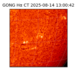 gong - 2025-08-14T13:00:42