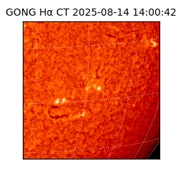 gong - 2025-08-14T14:00:42