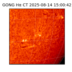 gong - 2025-08-14T15:00:42