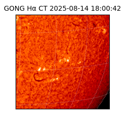 gong - 2025-08-14T18:00:42