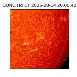 gong - 2025-08-14T20:00:42