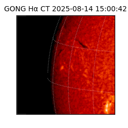 gong - 2025-08-14T15:00:42
