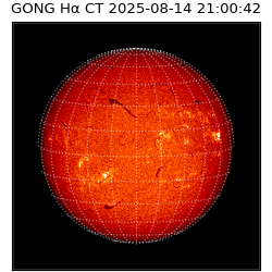 gong - 2025-08-14T21:00:42