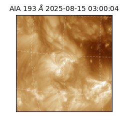 saia - 2025-08-15T03:00:04.846000