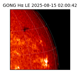 gong - 2025-08-15T02:00:42