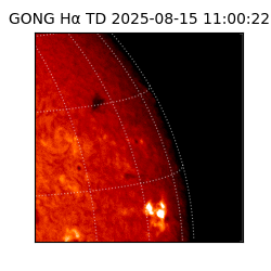 gong - 2025-08-15T11:00:22
