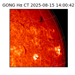 gong - 2025-08-15T14:00:42