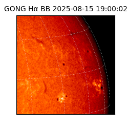 gong - 2025-08-15T19:00:02