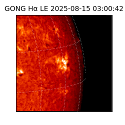 gong - 2025-08-15T03:00:42