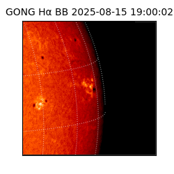 gong - 2025-08-15T19:00:02