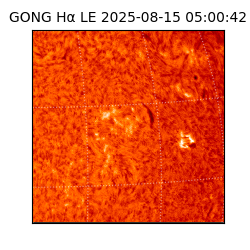 gong - 2025-08-15T05:00:42