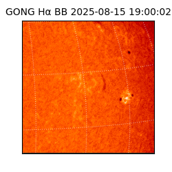 gong - 2025-08-15T19:00:02