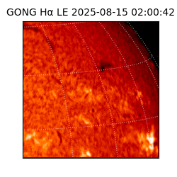 gong - 2025-08-15T02:00:42