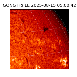 gong - 2025-08-15T05:00:42