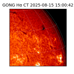 gong - 2025-08-15T15:00:42