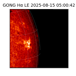 gong - 2025-08-15T05:00:42