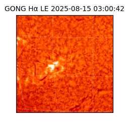 gong - 2025-08-15T03:00:42
