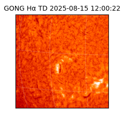 gong - 2025-08-15T12:00:22