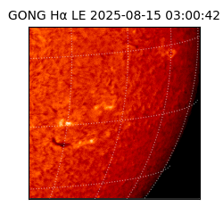 gong - 2025-08-15T03:00:42