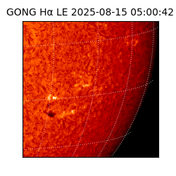 gong - 2025-08-15T05:00:42