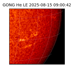 gong - 2025-08-15T09:00:42