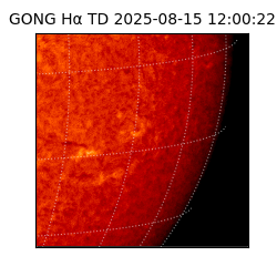 gong - 2025-08-15T12:00:22