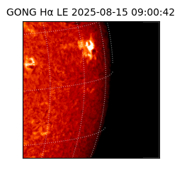 gong - 2025-08-15T09:00:42