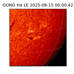 gong - 2025-08-15T06:00:42