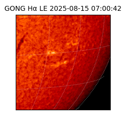 gong - 2025-08-15T07:00:42