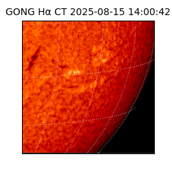 gong - 2025-08-15T14:00:42