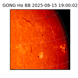 gong - 2025-08-15T19:00:02