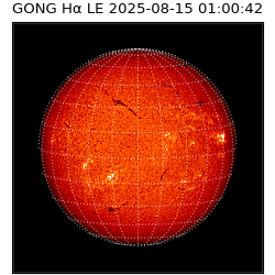 gong - 2025-08-15T01:00:42