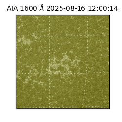 saia - 2025-08-16T12:00:14.125000